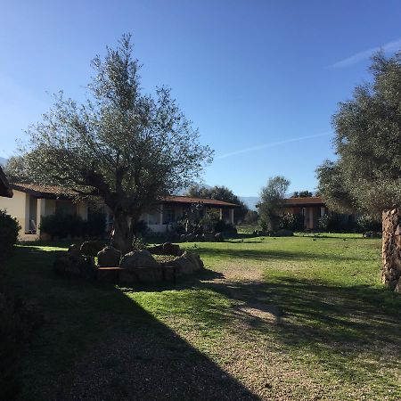 Turismo Rurale Su Cuile Villa Dorgali Bagian luar foto