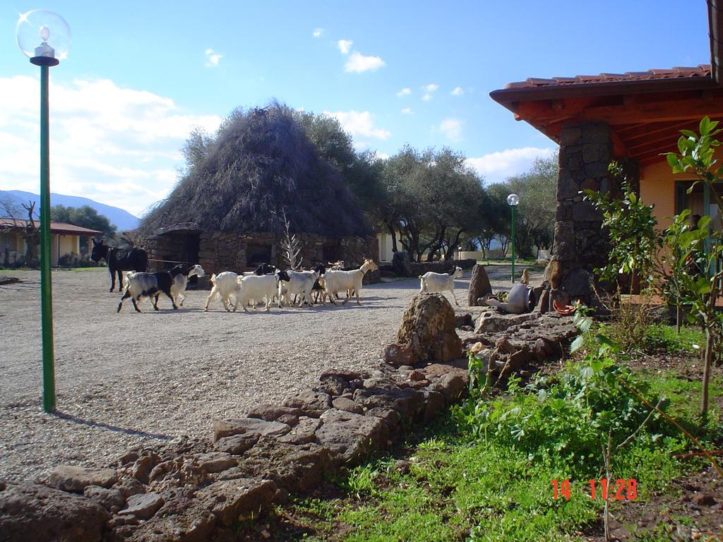 Turismo Rurale Su Cuile Villa Dorgali Bagian luar foto