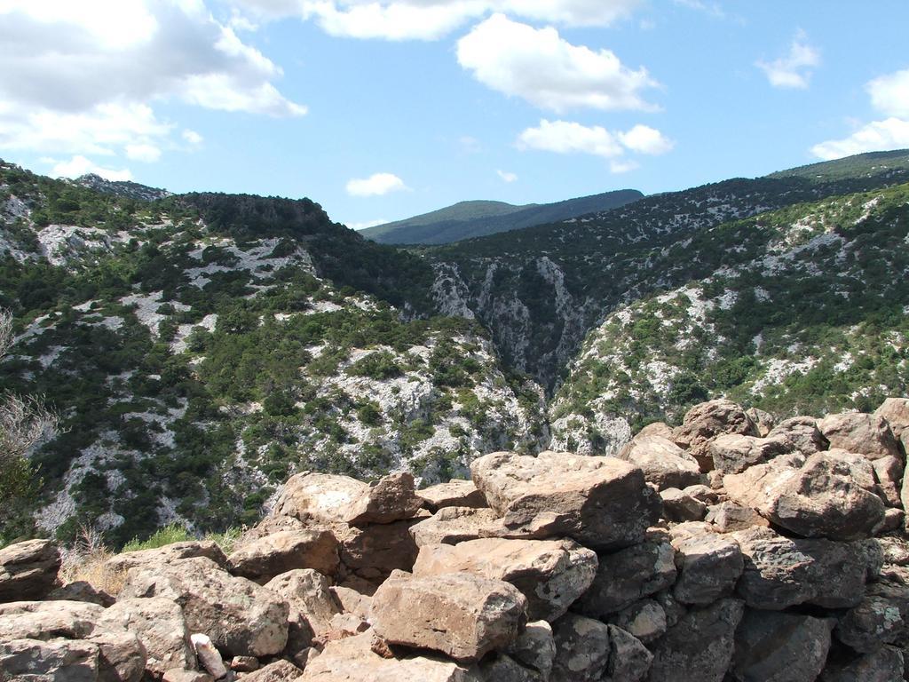 Turismo Rurale Su Cuile Villa Dorgali Bagian luar foto