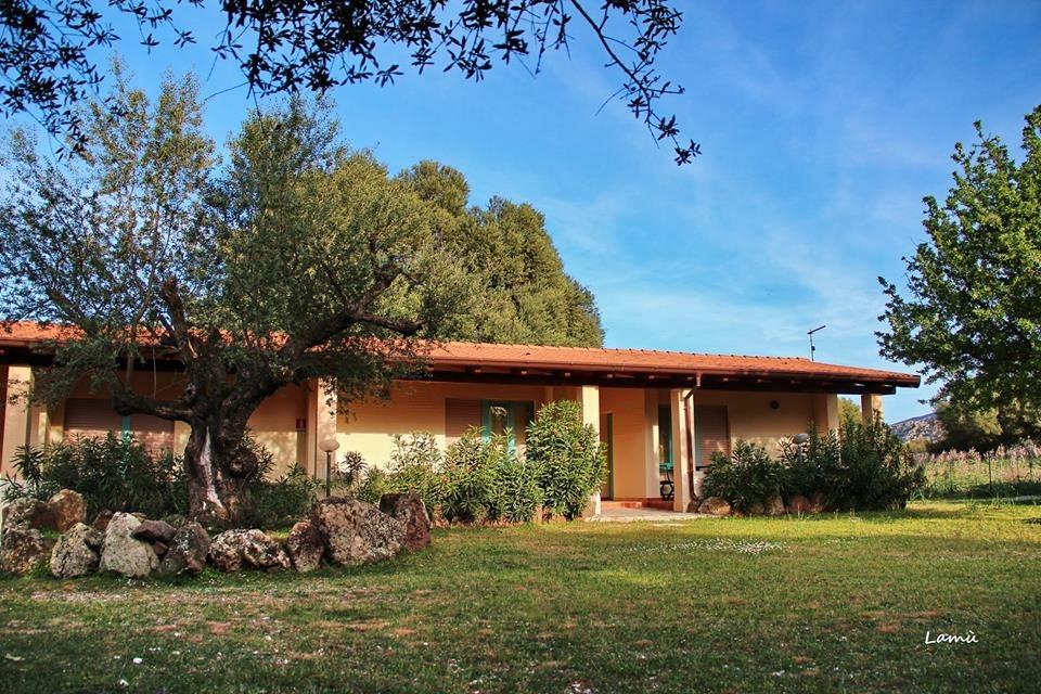 Turismo Rurale Su Cuile Villa Dorgali Bagian luar foto