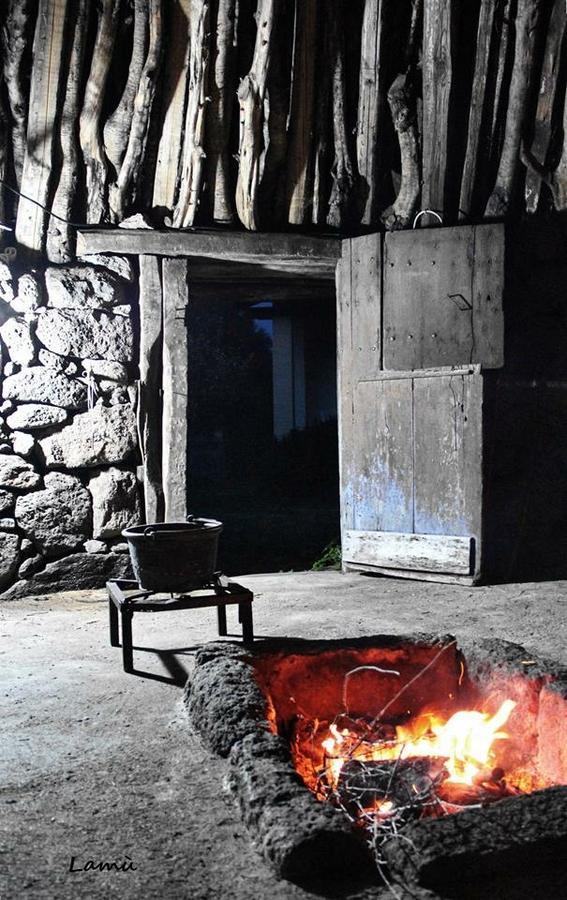 Turismo Rurale Su Cuile Villa Dorgali Bagian luar foto
