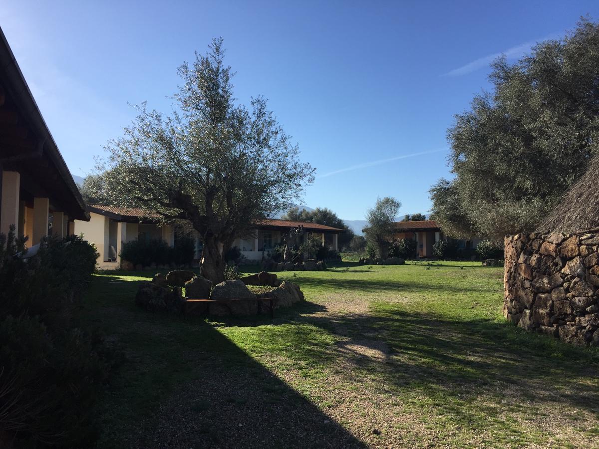 Turismo Rurale Su Cuile Villa Dorgali Bagian luar foto